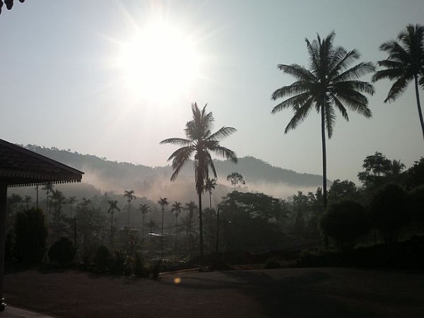 തങ്കമണി