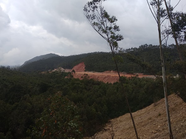 അതിജീവിക്കുന്ന മൂന്നാർ 