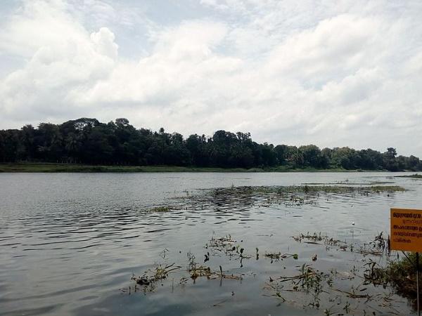 മണലിനോട് അകലം പാലിക്കുക