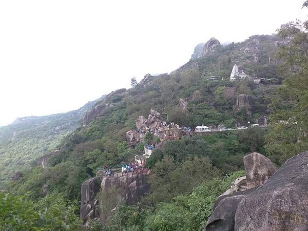 നമ്മുക്ക് വയനാട്...അവർ മൗണ്ട് അബു