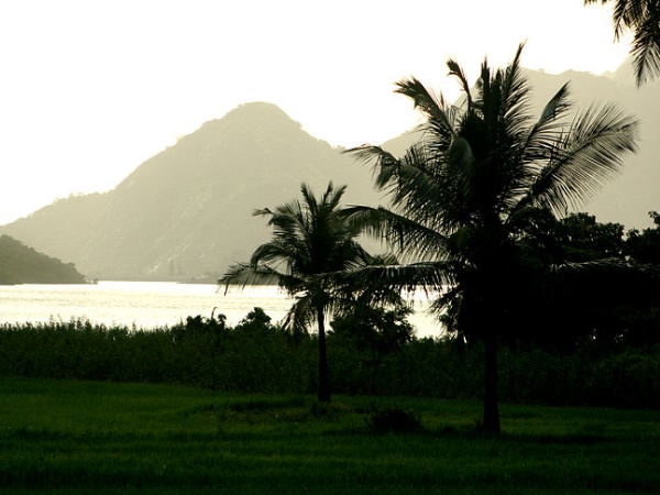 മലമ്പുഴ ഒരുങ്ങുന്നു കാഴ്ചക്കാർക്കായി