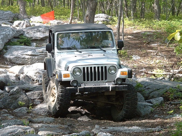 വളഞ്ഞും പുളഞ്ഞും താഴേക്ക്