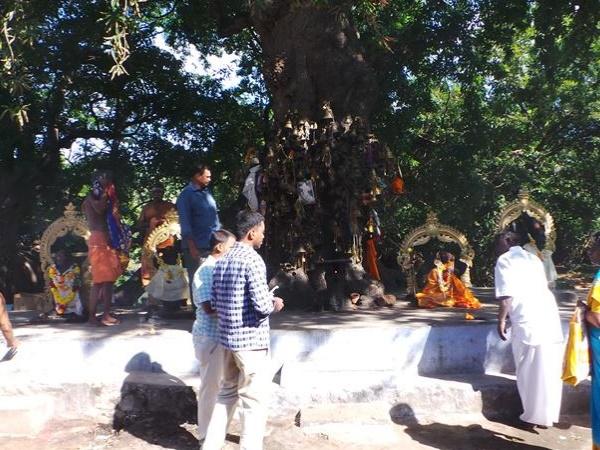 കാശിയിൽ പോകുന്നതിന് തുല്യം