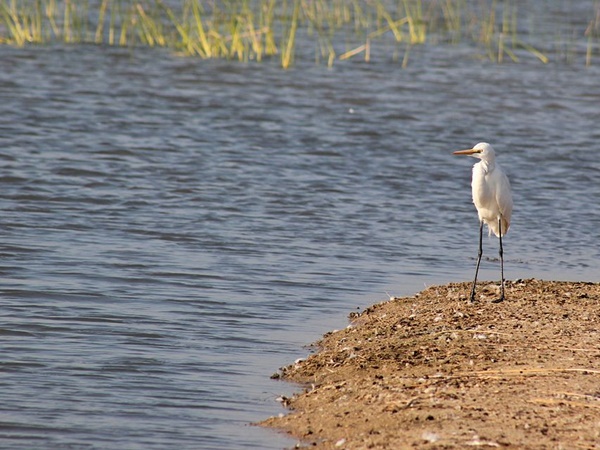 ചന്ദോള ലേക്ക്