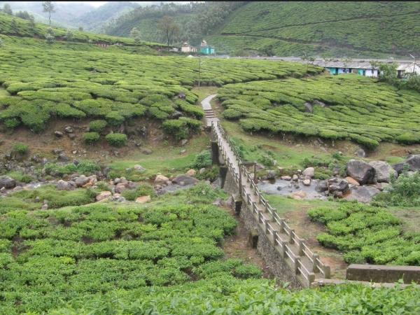 തിരക്കില്ലാത്ത മൂന്നാറിനെ കാണുവാൻ