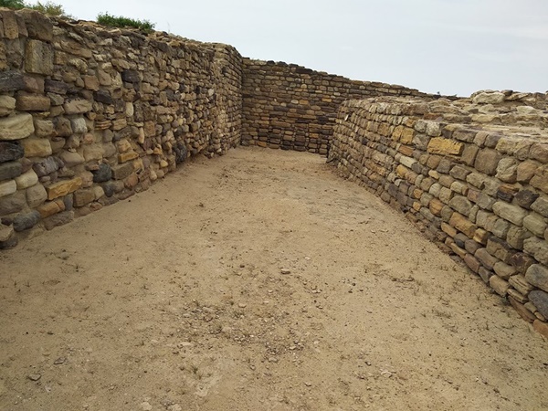 മടക്ക യാത്ര