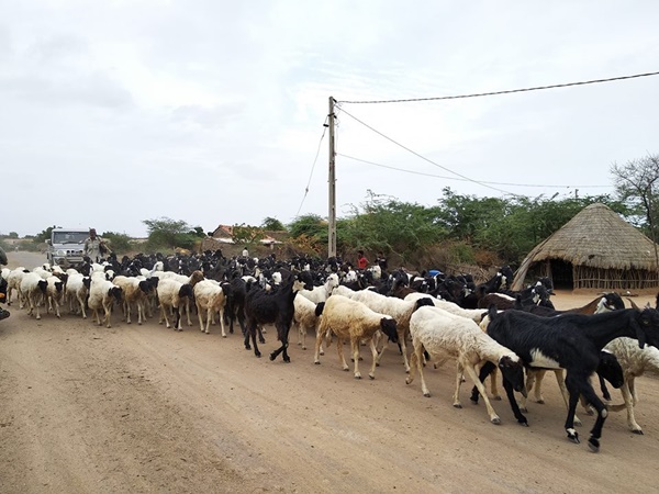  ധോളാവീര ട്രാവൽ ടിപ്സ് 