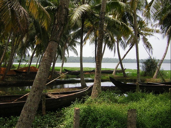 ആക്കുളം