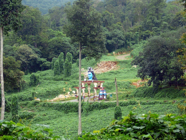 വാഹന പാർക്കിങ്ങ് നിലയ്ക്കൽ വരെ