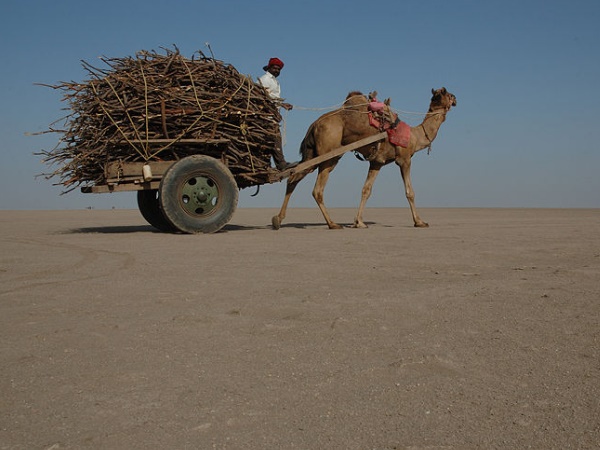 രാപ്പാർ