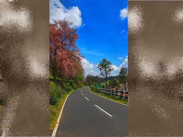 യാത്ര തുടരുകയാണ് സൂർത്തുകളേ...തുടരുകയാണ്