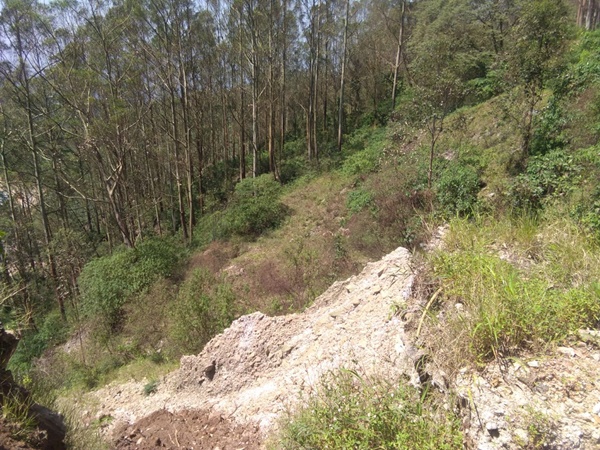 അതിജീവിക്കുന്ന മൂന്നാർ 