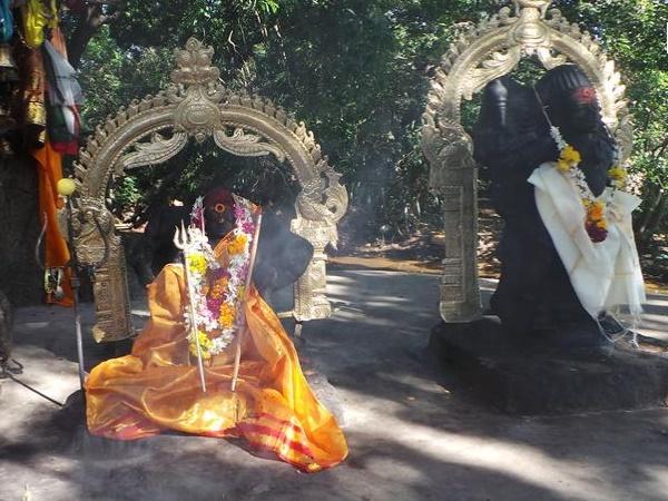 മണിമുത്താർ