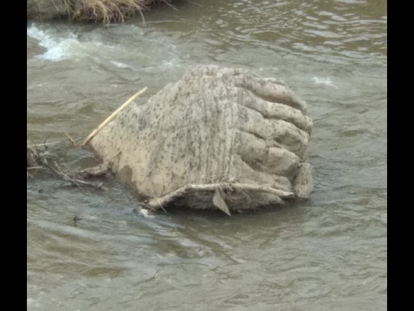 മുതിരപ്പുഴയാറിലെ ദൈവത്തിന്റെ കൈ