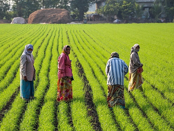 പ്രകൃതി ഒരുക്കിയ വിസ്മയം