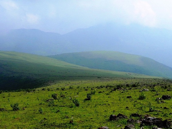 ദിയോമലി കൊടുമുടി 
