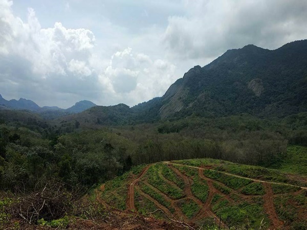 അമ്പൂരിയിലെ കാഴ്ചകൾ