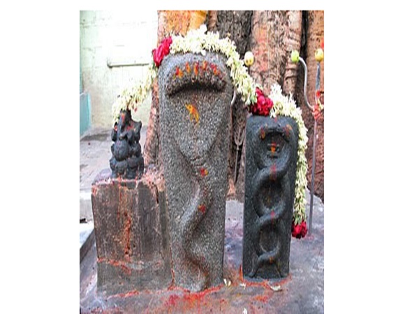 വെട്ടിക്കോട് ആദിമൂലം ശ്രീ നാഗരാജസ്വാമി ക്ഷേത്രം