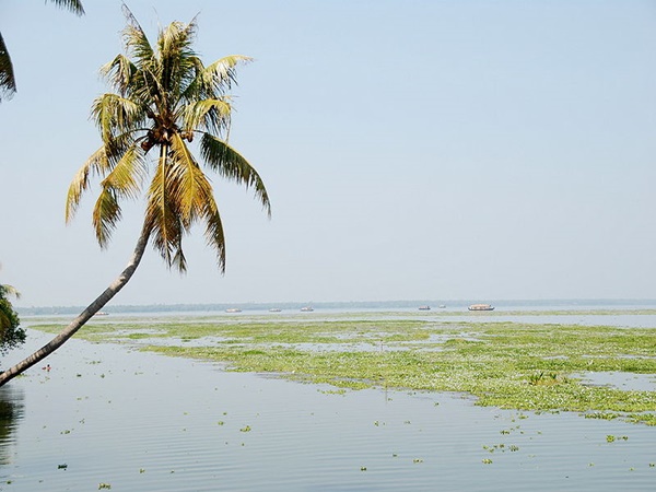 വേമ്പനാട് കായൽ