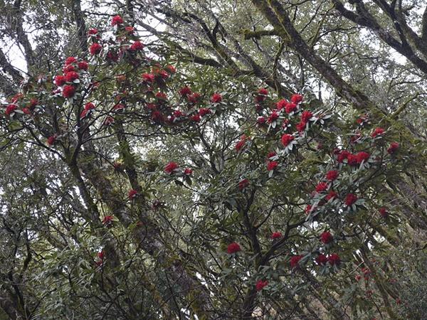  തണുപ്പിൽ പൊതിഞ്ഞ ഇടം