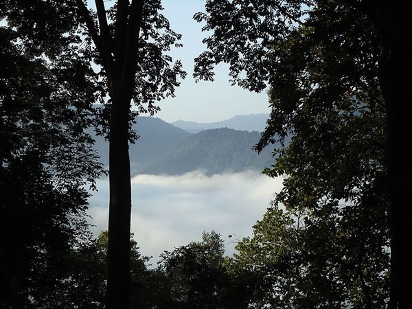 എവിടെയാണിത്?