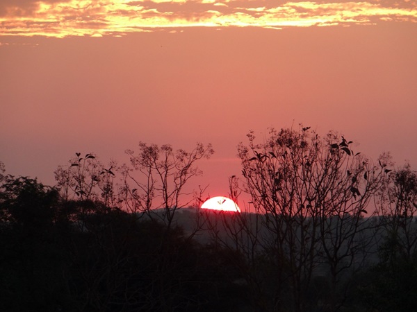 അല്പം പാടുപെടും