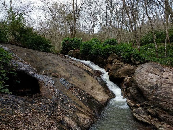 അമ്പൂരിയിലെ കാഴ്ചകൾ