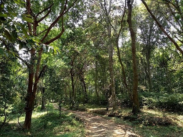 ആറളം വന്യജീവി സങ്കേതം