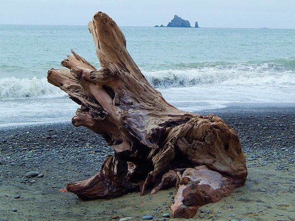 ബേ ഐലൻഡ് ഡ്രിഫ്റ്റ്വുഡ് മ്യൂസിയം