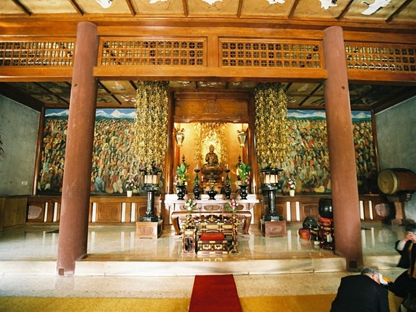 ഇവിടെ കാണാൻ