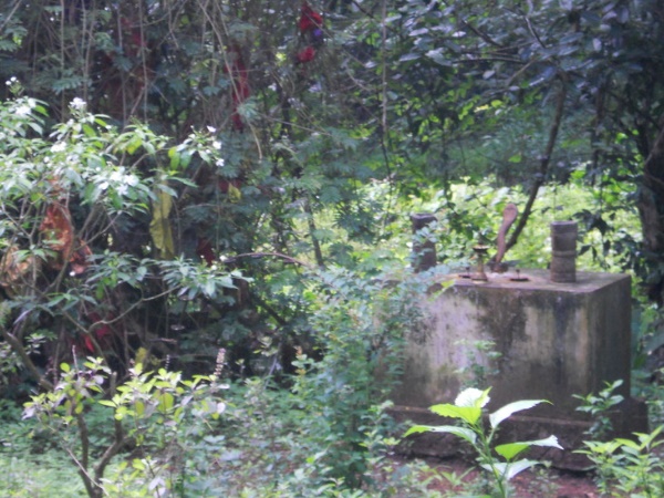 ആറ് ഏക്കറിനുള്ളിൽ