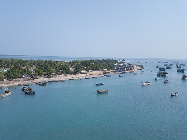 ഗൾഫ് ഓഫ് മാന്നാർ, തമിഴ്നാട്