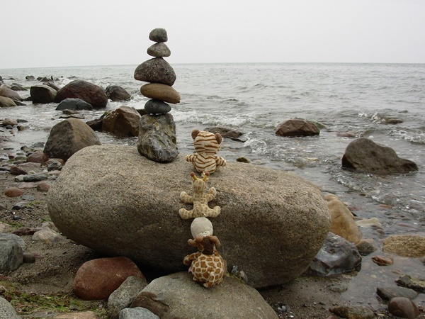 ബേക്കൽ കോട്ട