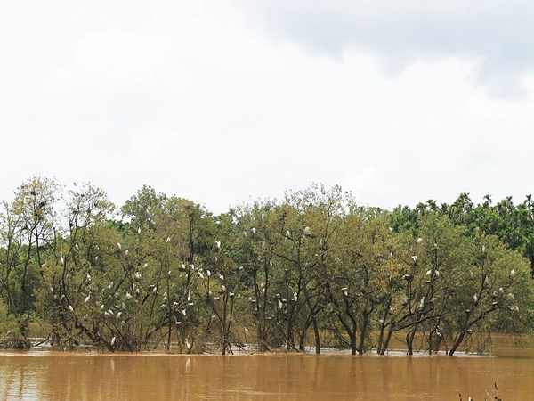 ദ്വീപിനുള്ളിലെ സങ്കേതം