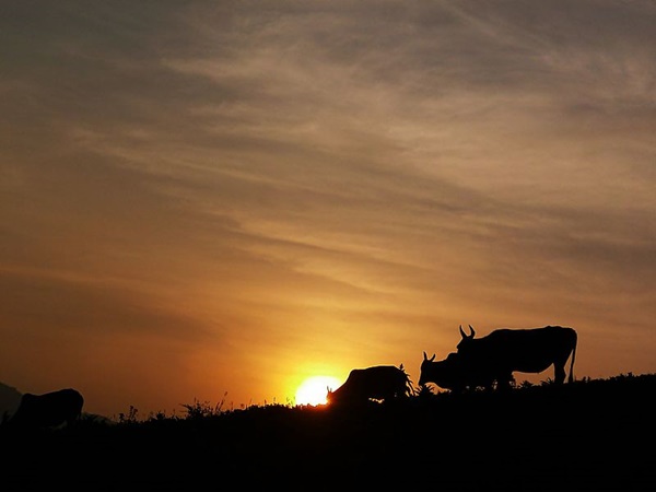  മലനിരകളാൽ ചുറ്റപ്പെട്ട്