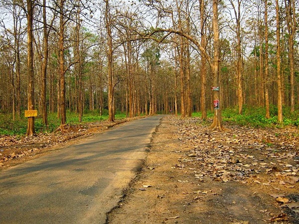 നെടുംകയം