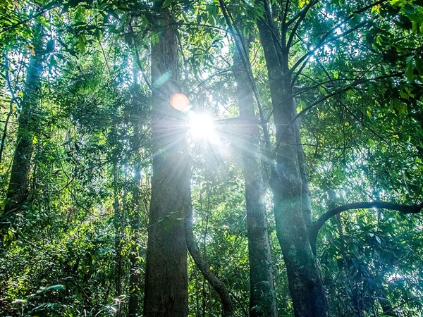 ഇവിടെ വന്നാൽ