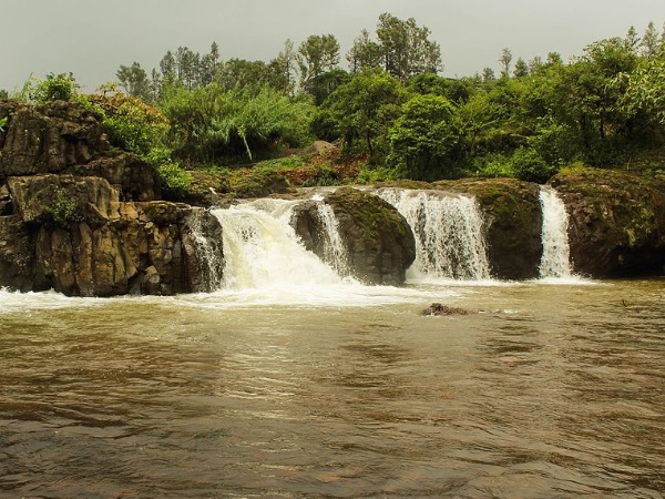 പ്രവേശന ഫീസും സമയവും
