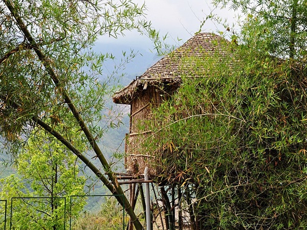 മാങ്കുളം