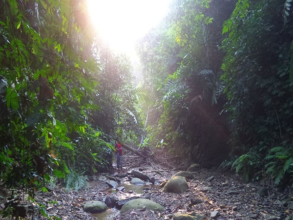 11 ജില്ലകൾ