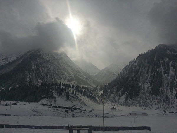 കടുത്ത വേനലിൽ പോലും