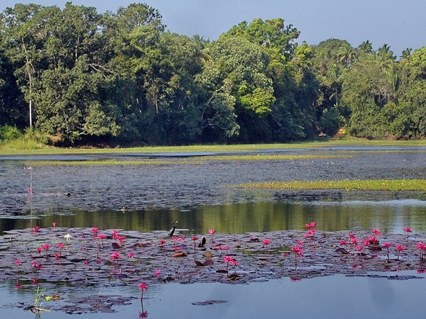 നിരാശപ്പെടുത്താത്ത നാട്
