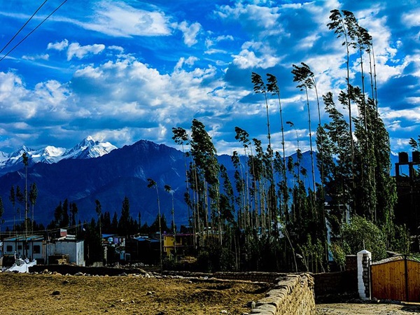 തണുപ്പു കാലങ്ങളിൽ