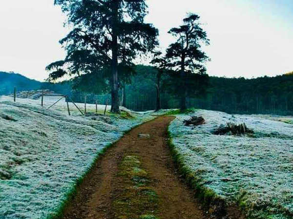 മൂന്നാർ