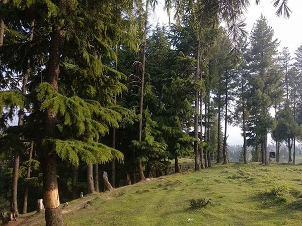 എട്ടുമാസം നീണ്ടു നിൽക്കുന്ന കൃഷികൾ