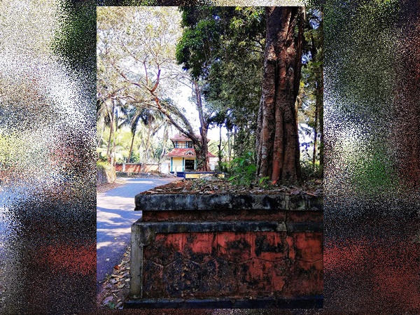 സർപ്പ ദോഷം അകറ്റുവാൻ