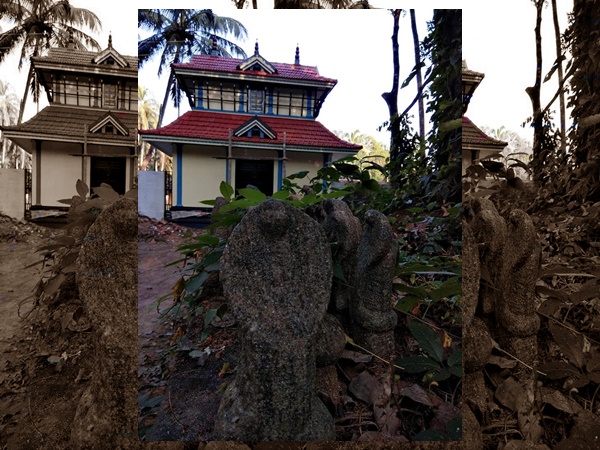 മണ്ഡലകാലത്ത് മനുഷ്യരൂപത്തിലെത്തുന്ന സർപ്പങ്ങൾ