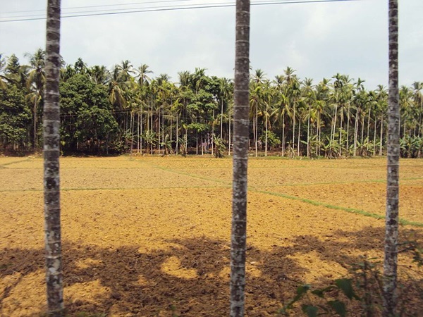 ബാലുശ്ശേരി