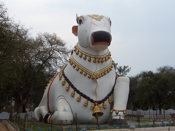  ശുദ്ധജലാശയം