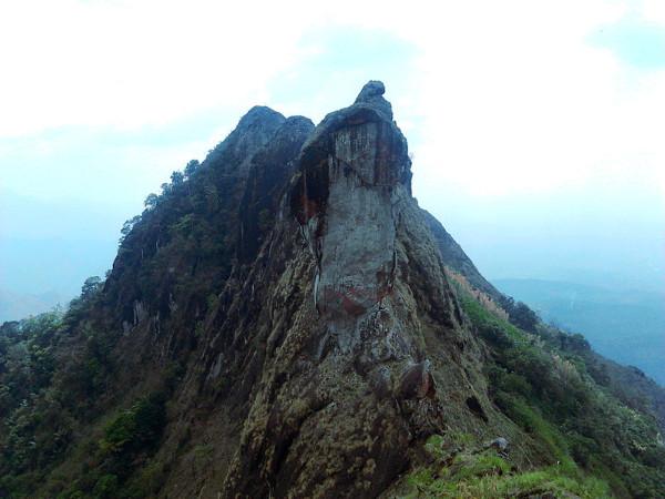  ഭരണങ്ങാനത്തു നിന്നും ഇല്ലിക്കൽകല്ലിലേക്ക്